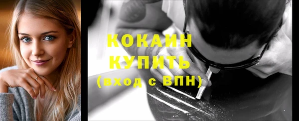 PSILOCYBIN Богородицк