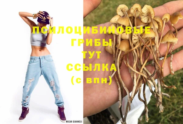 ECSTASY Белокуриха