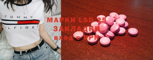 PSILOCYBIN Богородицк