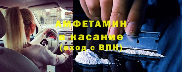 индика Бугульма