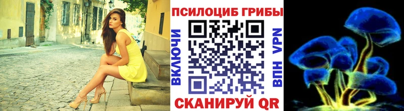 Псилоцибиновые грибы Cubensis  Берёзовский 